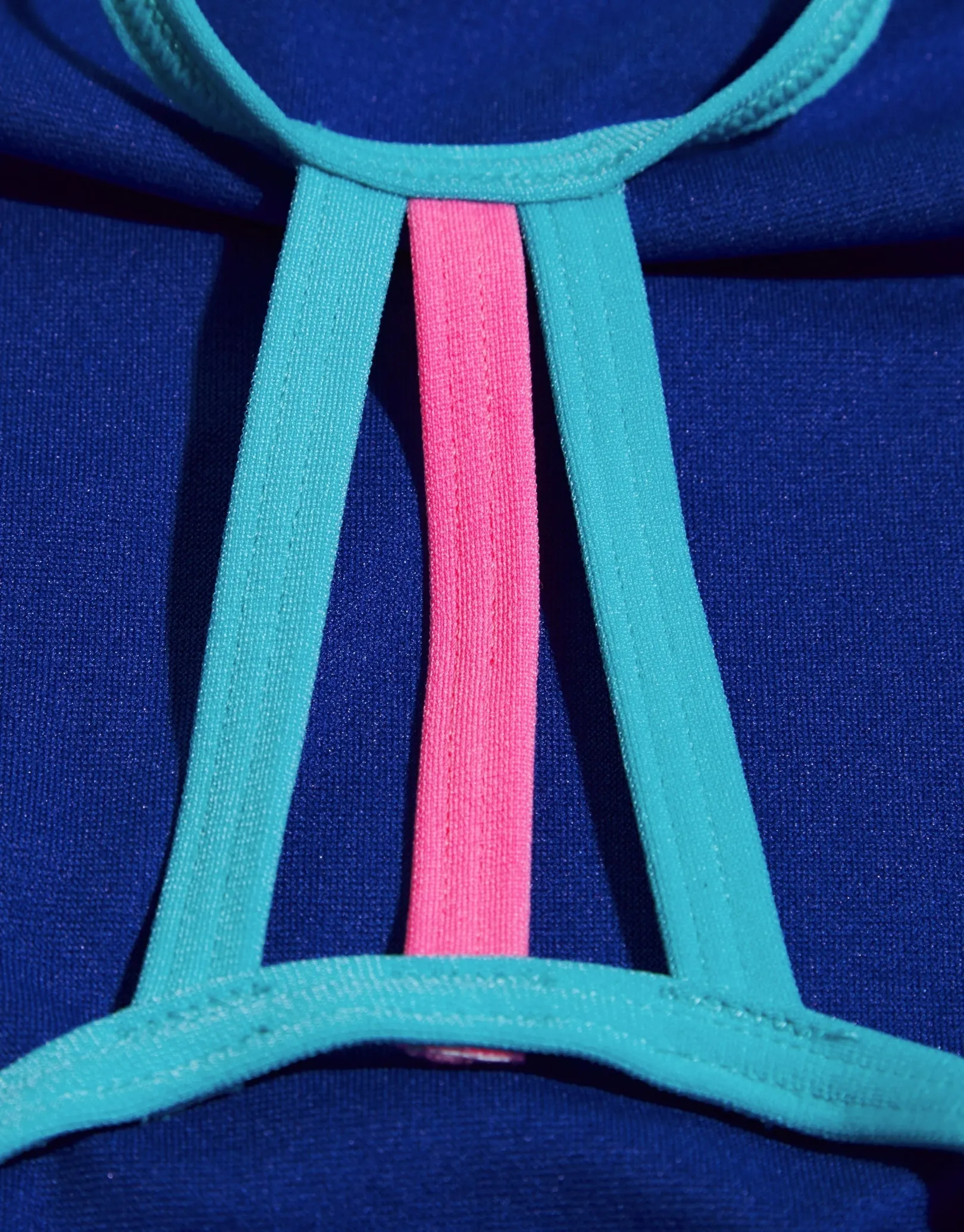 Speedo Girls Solid Lane Line back Allover Swimsuit - Pink/Blue