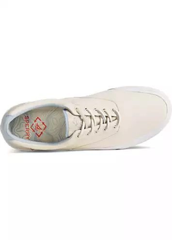 Striper II CVO SeaCycled Trainers by Sperry | Look Again