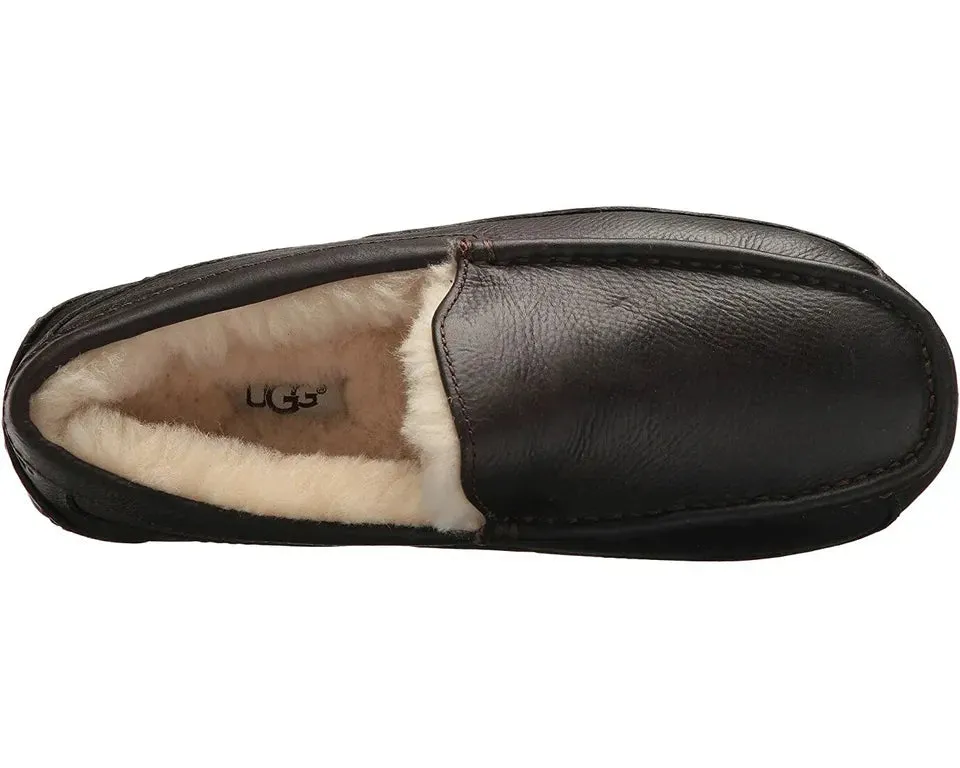 UGG ASCOT MEN'S