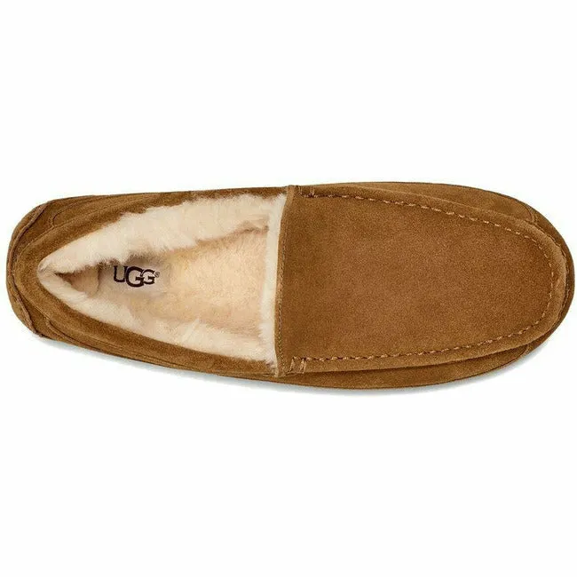 UGG Men's Ascot Slipper